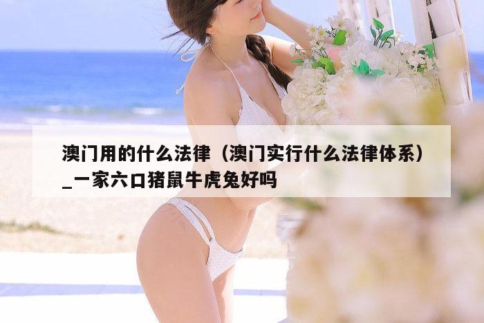 澳门用的什么法律(澳门实行什么法律体系)_一家六口猪鼠牛虎兔好吗